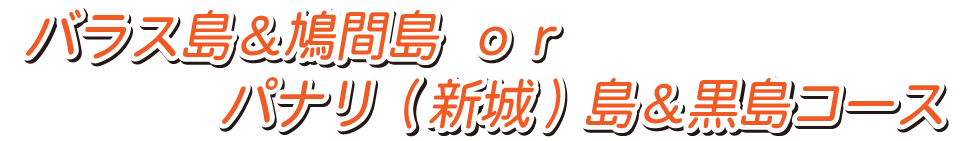 1日離島シュノーケルコース
