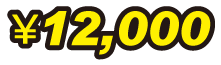 12,000円